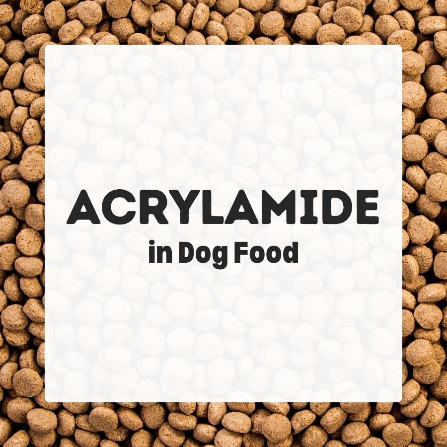 Acrylamide in dog food 900x900 1