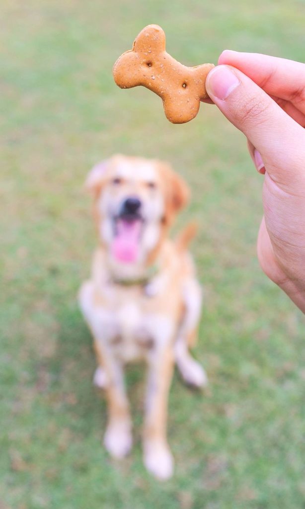 Added Flavor in dog food flavor ingredients