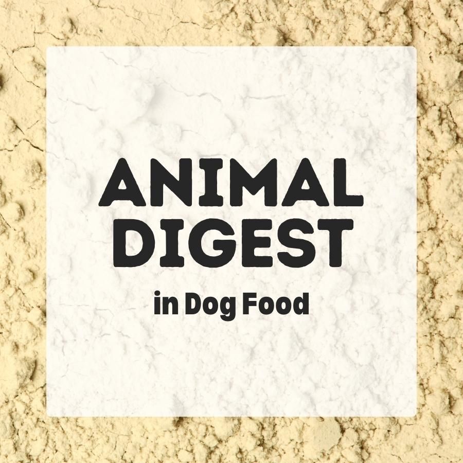 Animal Digest in dog food 900x900 1