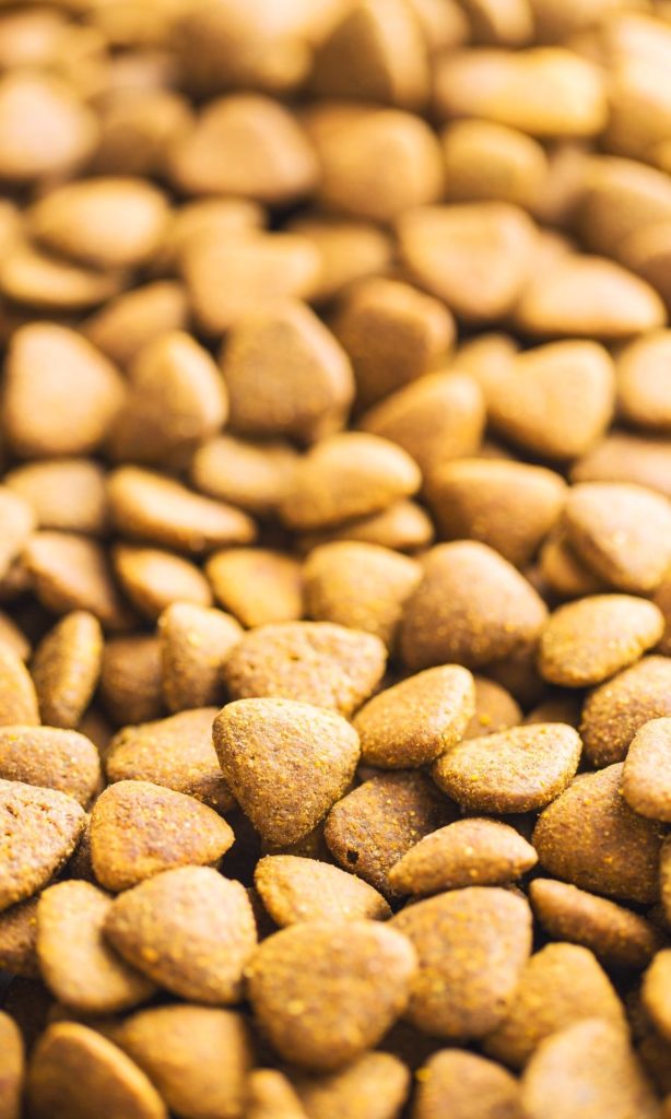 Animal Fat in Dog Food - Dog Nutrition DB