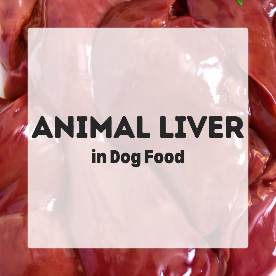 Animal liver in dog food 900x900 1