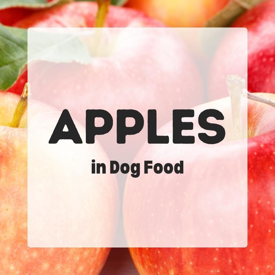 Apples in dog food 900x900 1