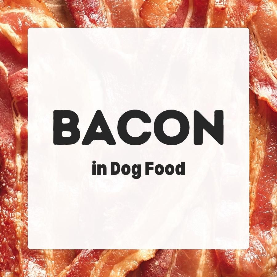 Bacon in dog food 900x900 1