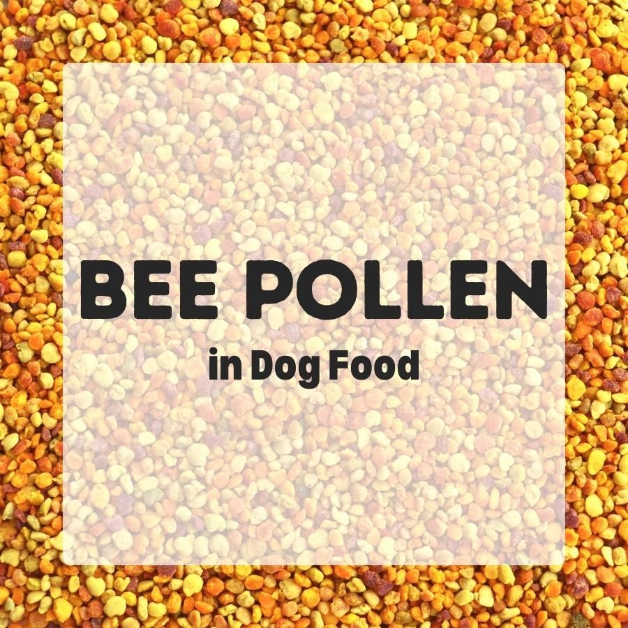 Bee Pollen in Dog