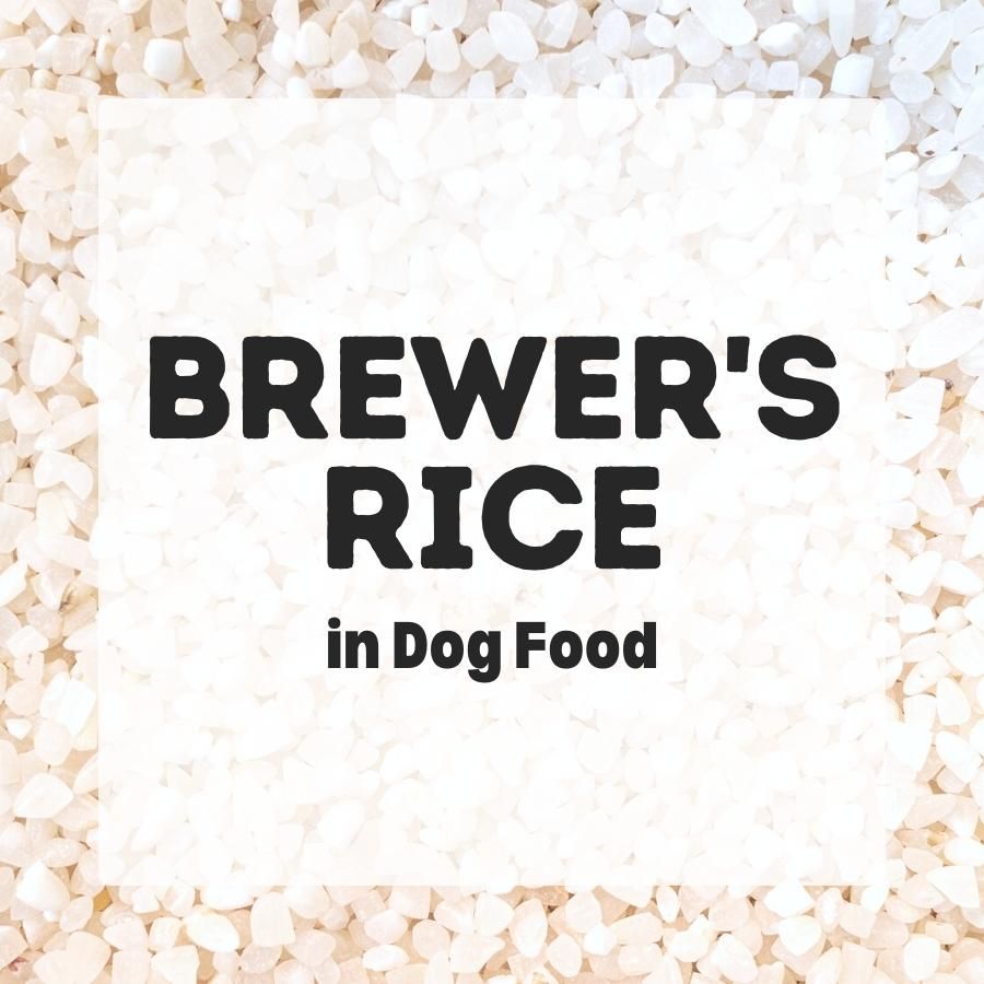 Brewers Rice in dog food 900x900 1