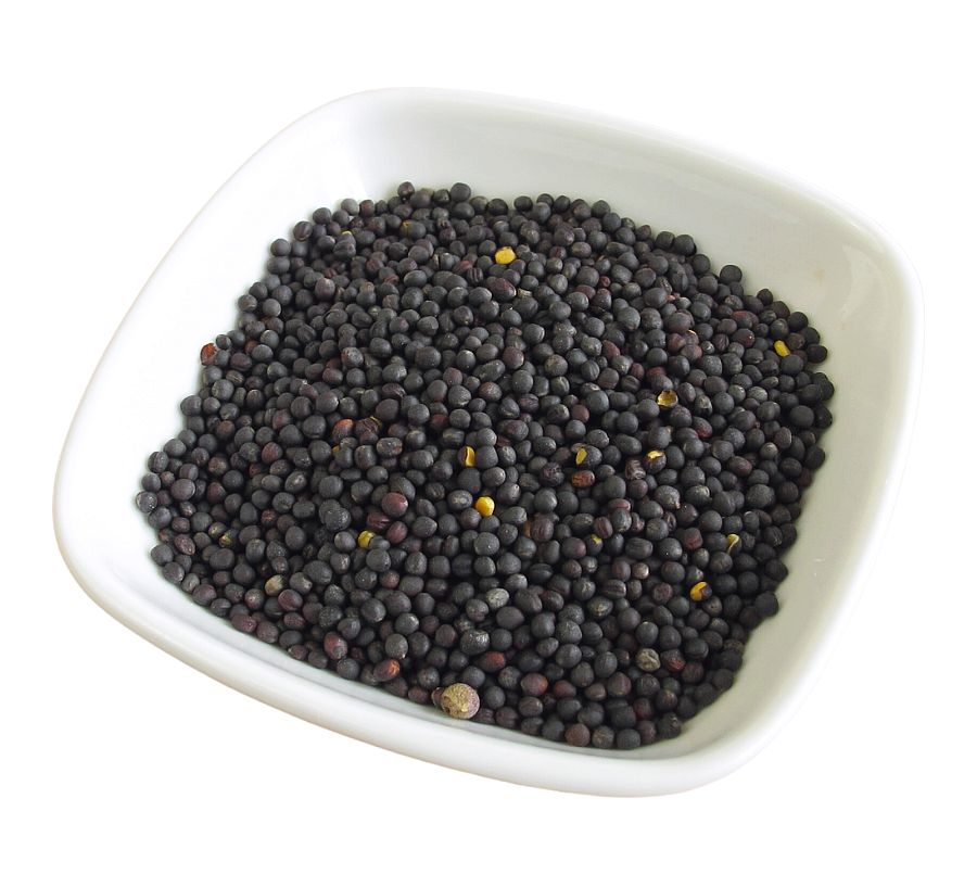 Canola Meal in dog food seeds