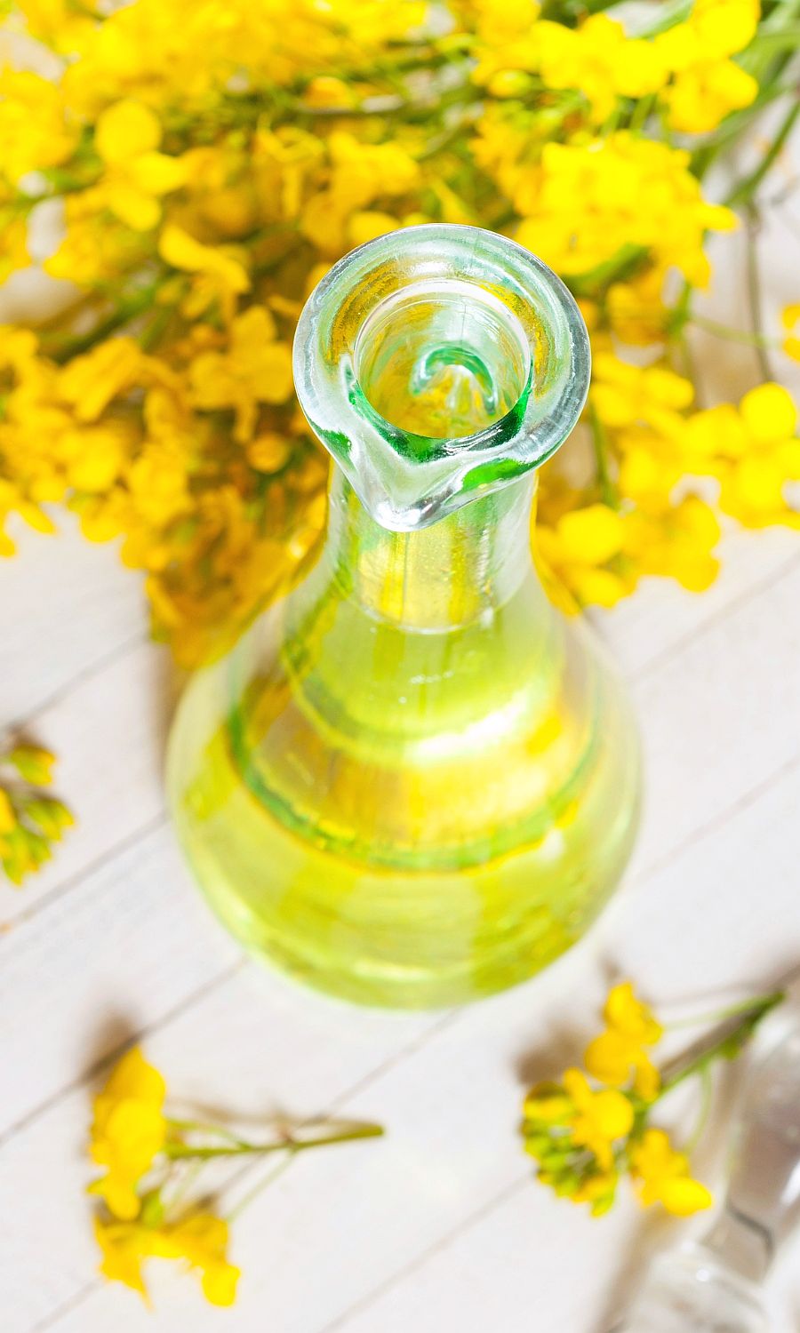 Canola Oil in Dog Food Dog Nutrition DB