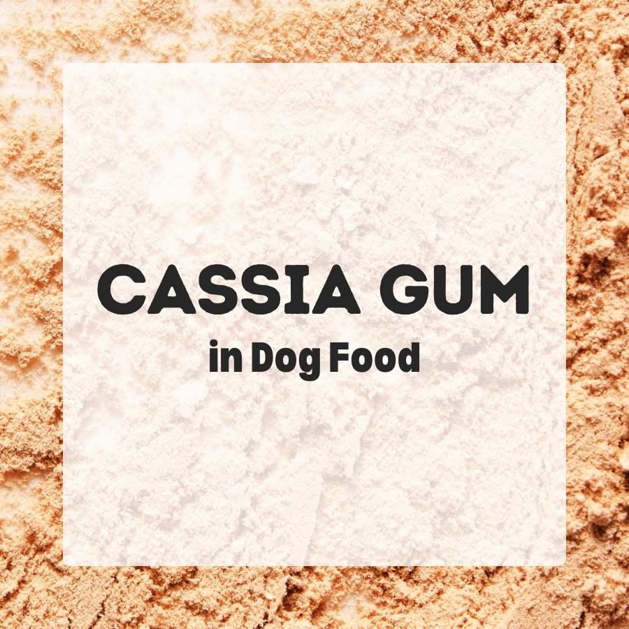 Cassia Gum in dog food 900x900 1