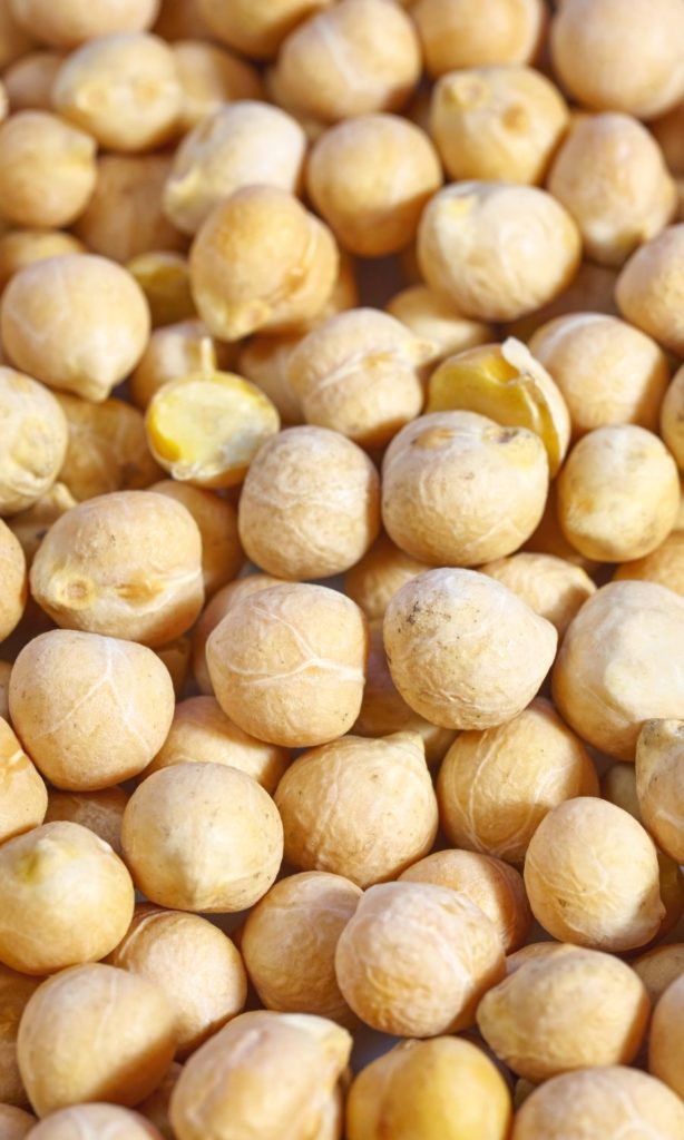 Chickpeas in Dog Food close up