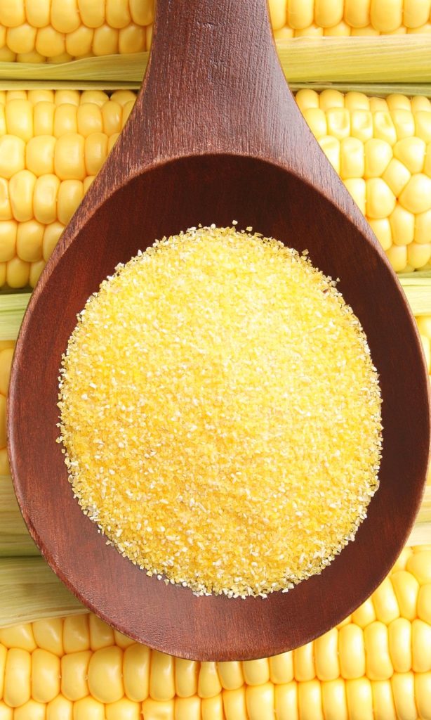 Corn in dog food flour