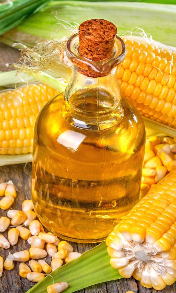 Corn in dog food oil