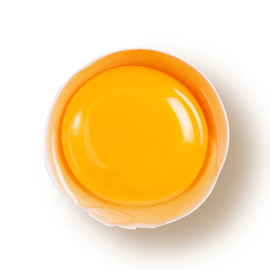 Eggs in dog food egg yolk