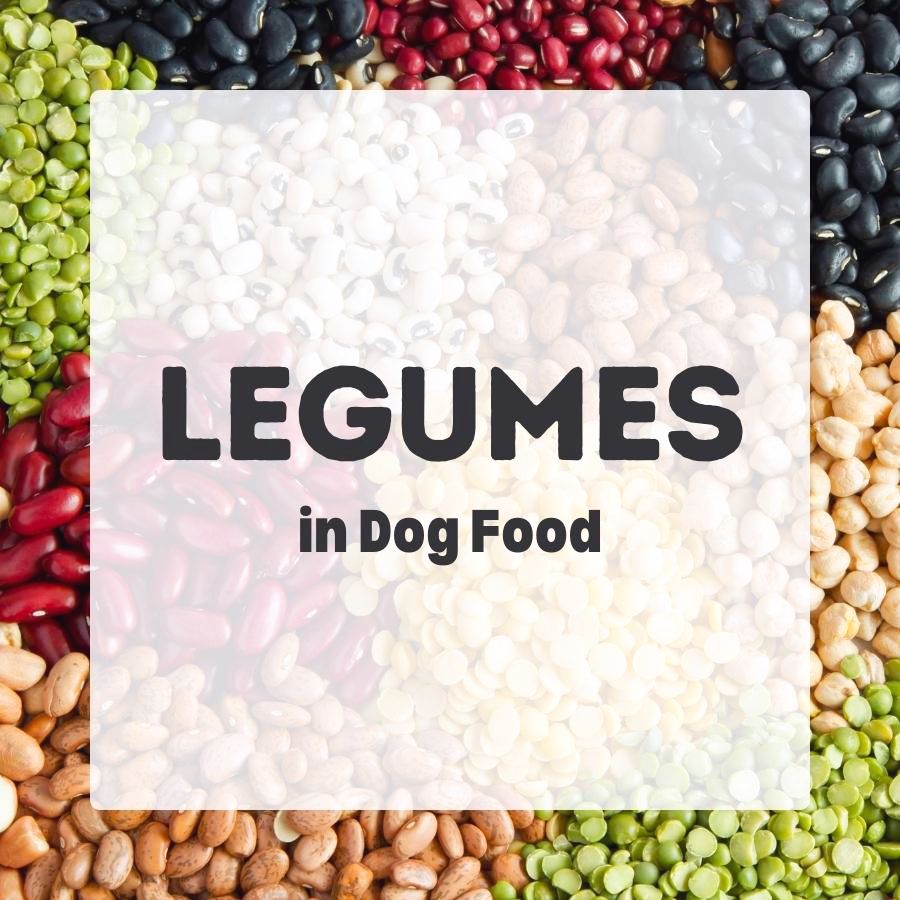 Legumes in Dog Food 900x900 1