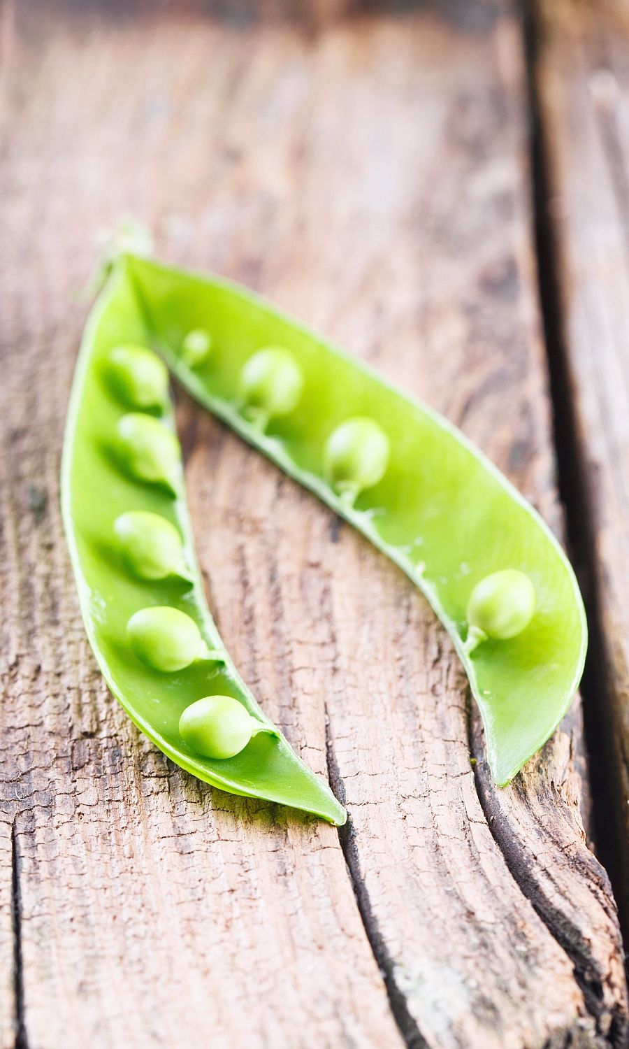 Legumes in Dog Food Dog Nutrition DB