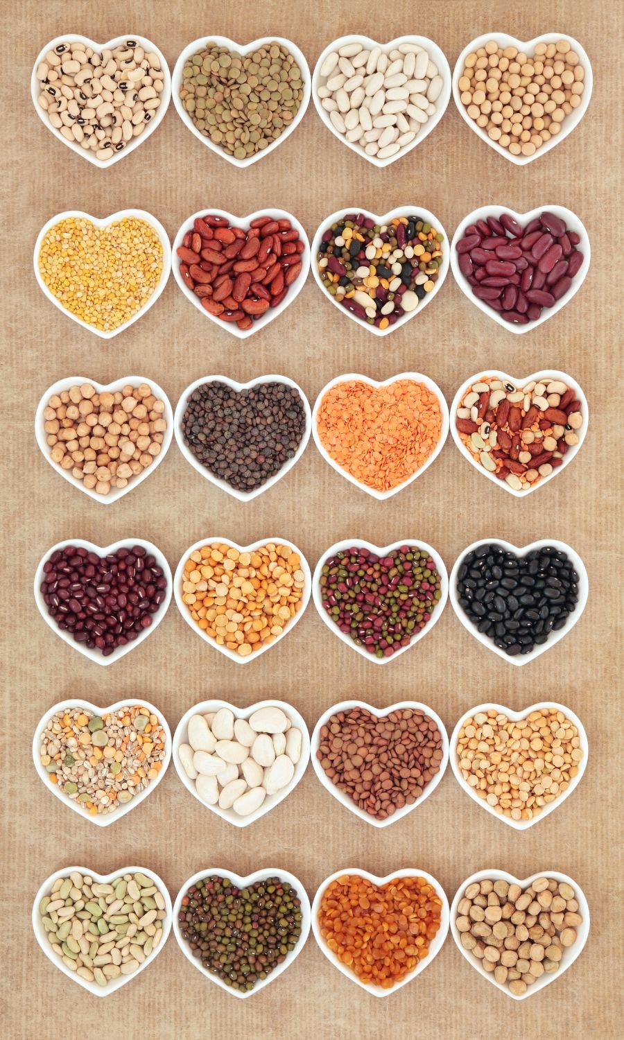Legumes in Dog Food Dog Nutrition DB