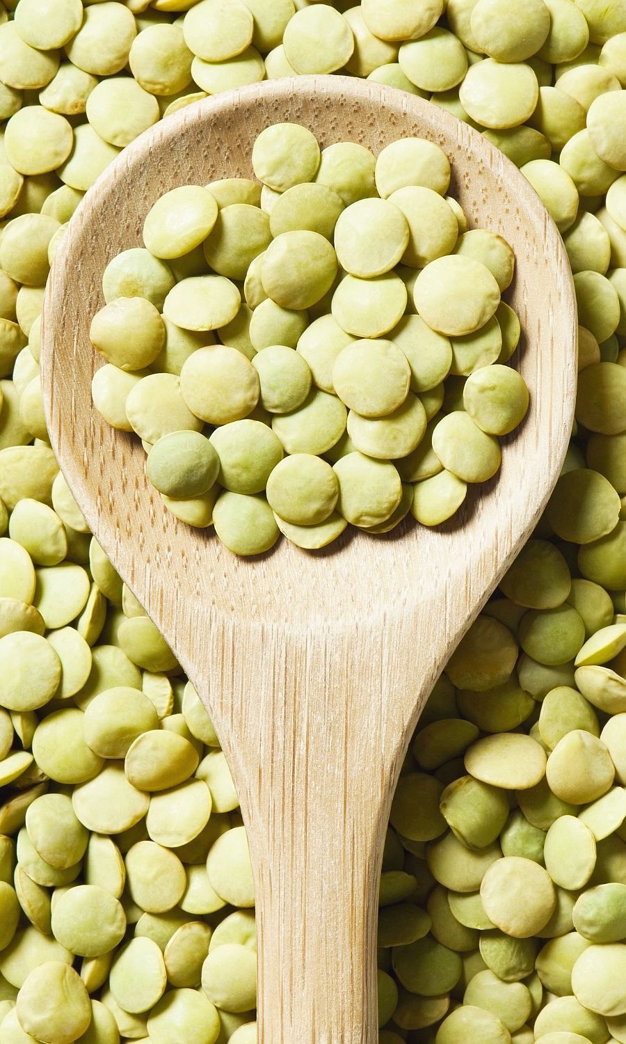 Image showcasing Lentils in Dog Food - Dog Nutrition DB