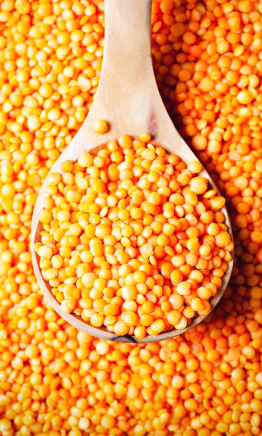Thumbnail for Pill Free Dog Food With Lentils