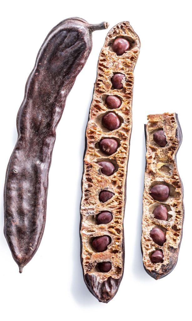 Locust Bean Gum in dog food Carob seed pods