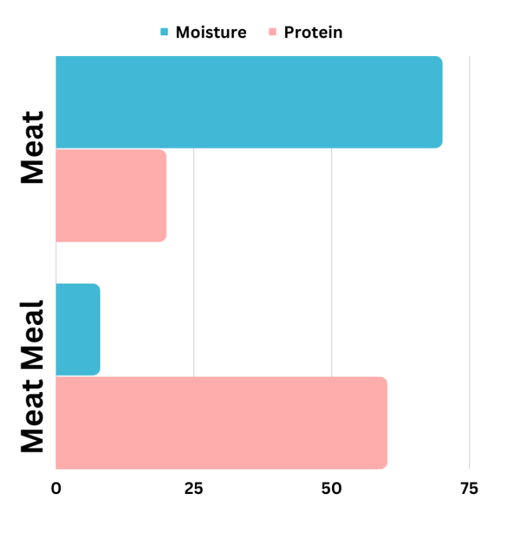 Meat Meal in Dog Food Comparison