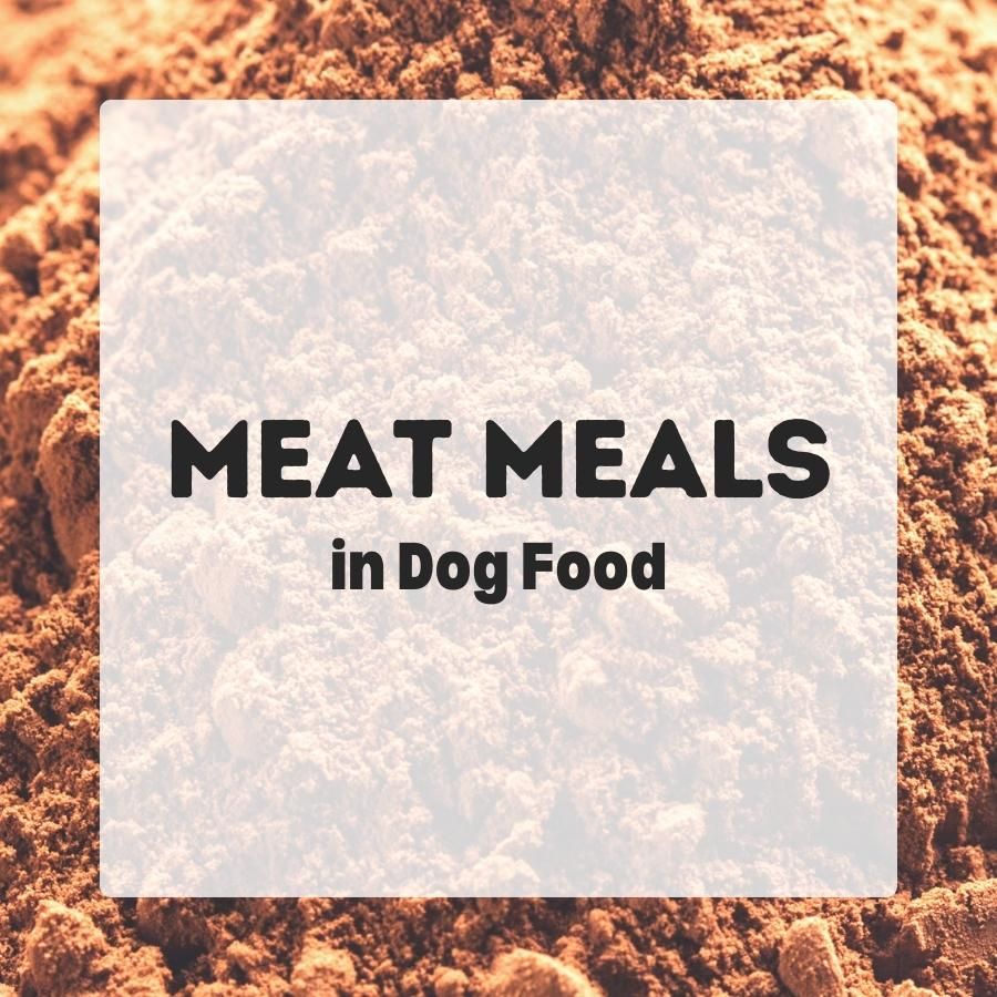 Meat meals in dog food 900x900 1