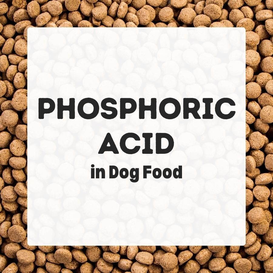 Phosphoric Acid in Dog Food 900x900 1