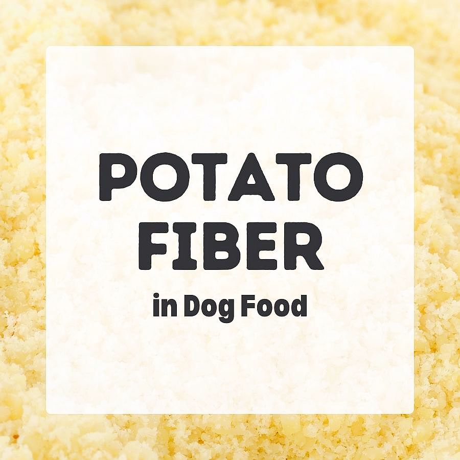 Potato Fiber in dog food 900x900 1