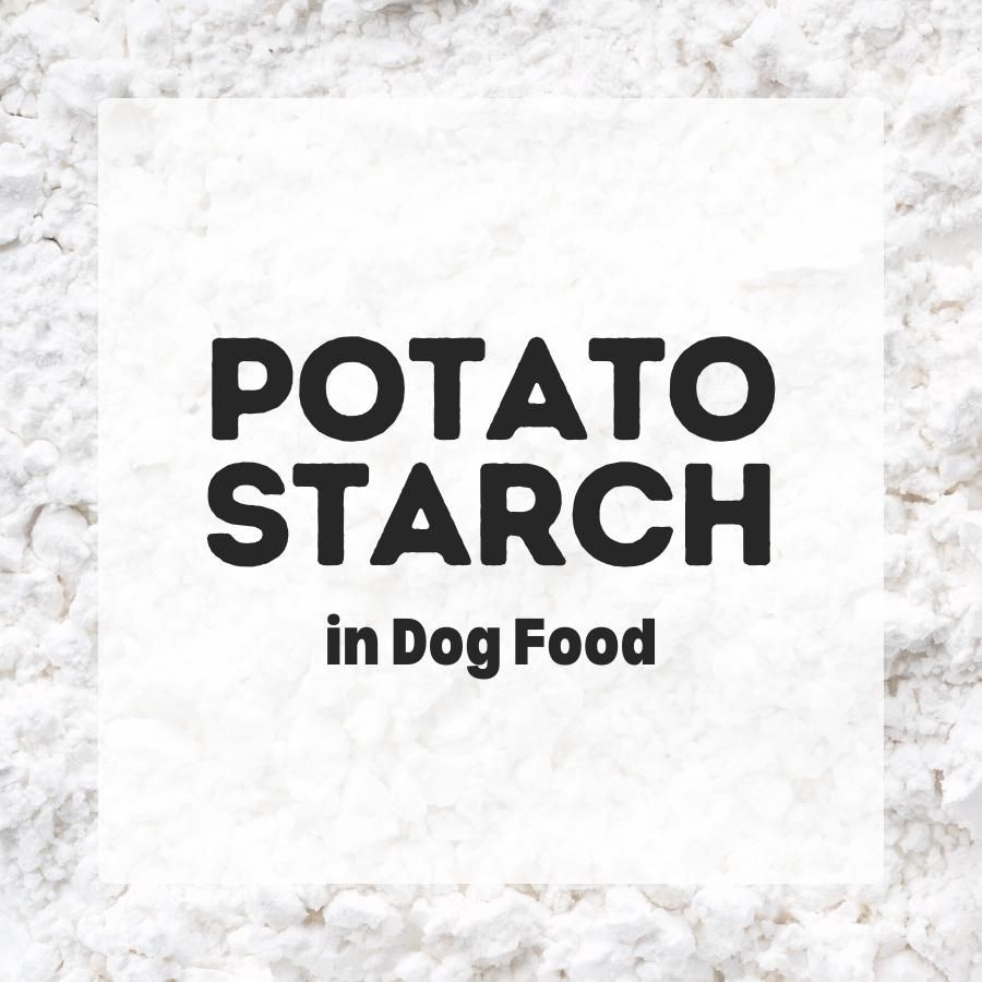 Potato Starch in dog food 900x900 1