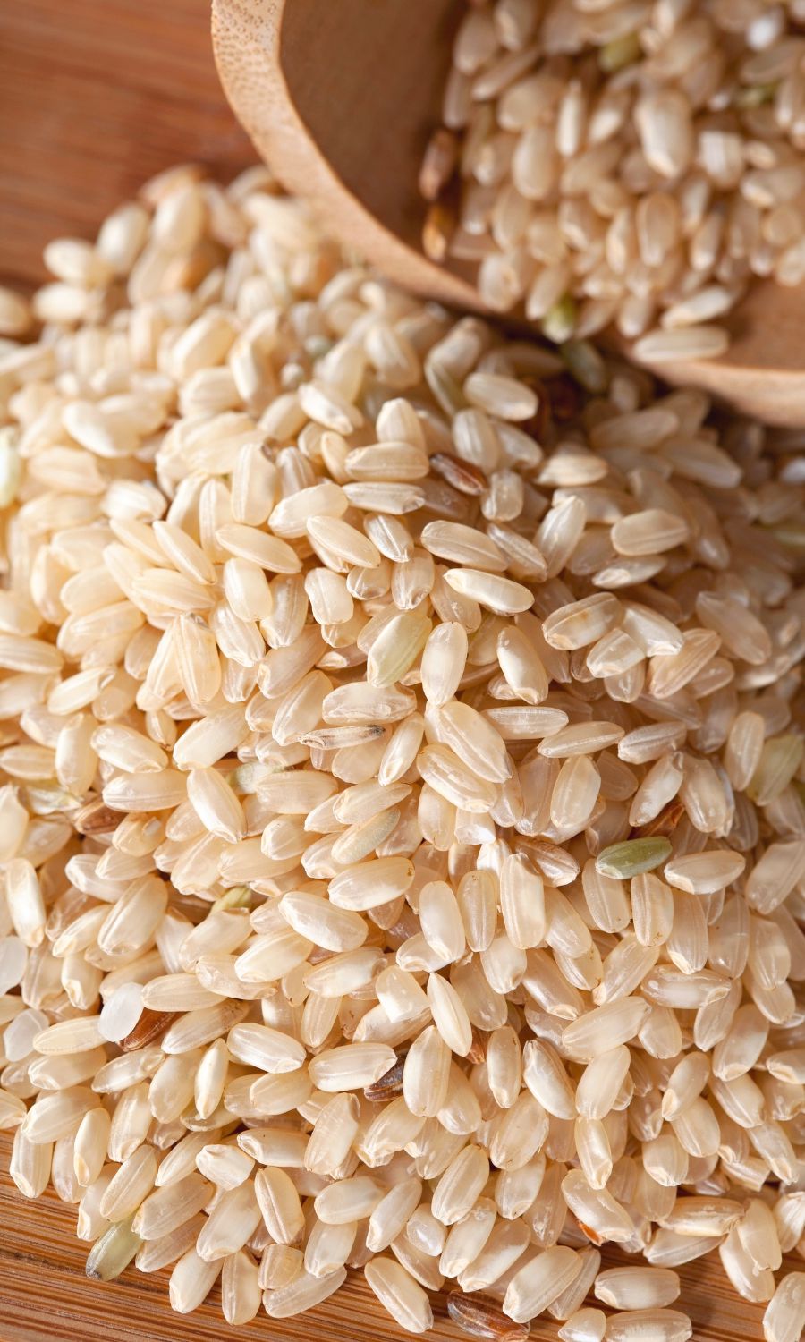 Rice in Dog Food Dog Nutrition DB