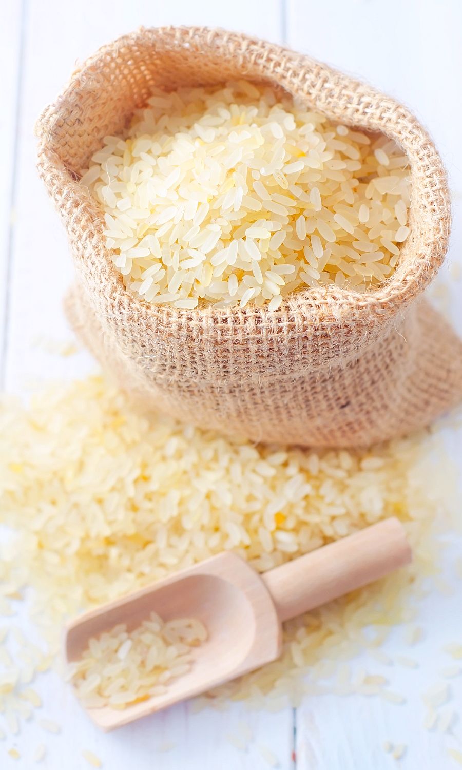 Rice in Dog Food Dog Nutrition DB