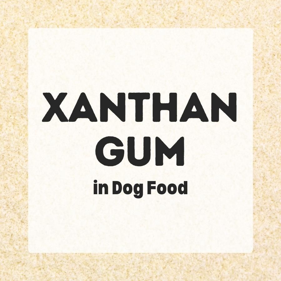 Xanthan gum in dog food 900x900 1