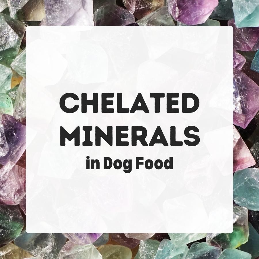 chelated minerals in dog