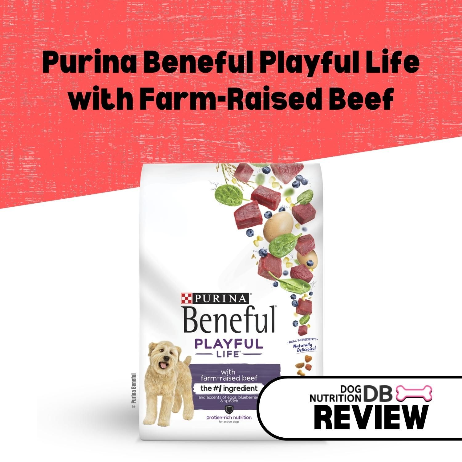 Purina Beneful Playful Life with FarmRaised Beef Review Dog Nutrition DB