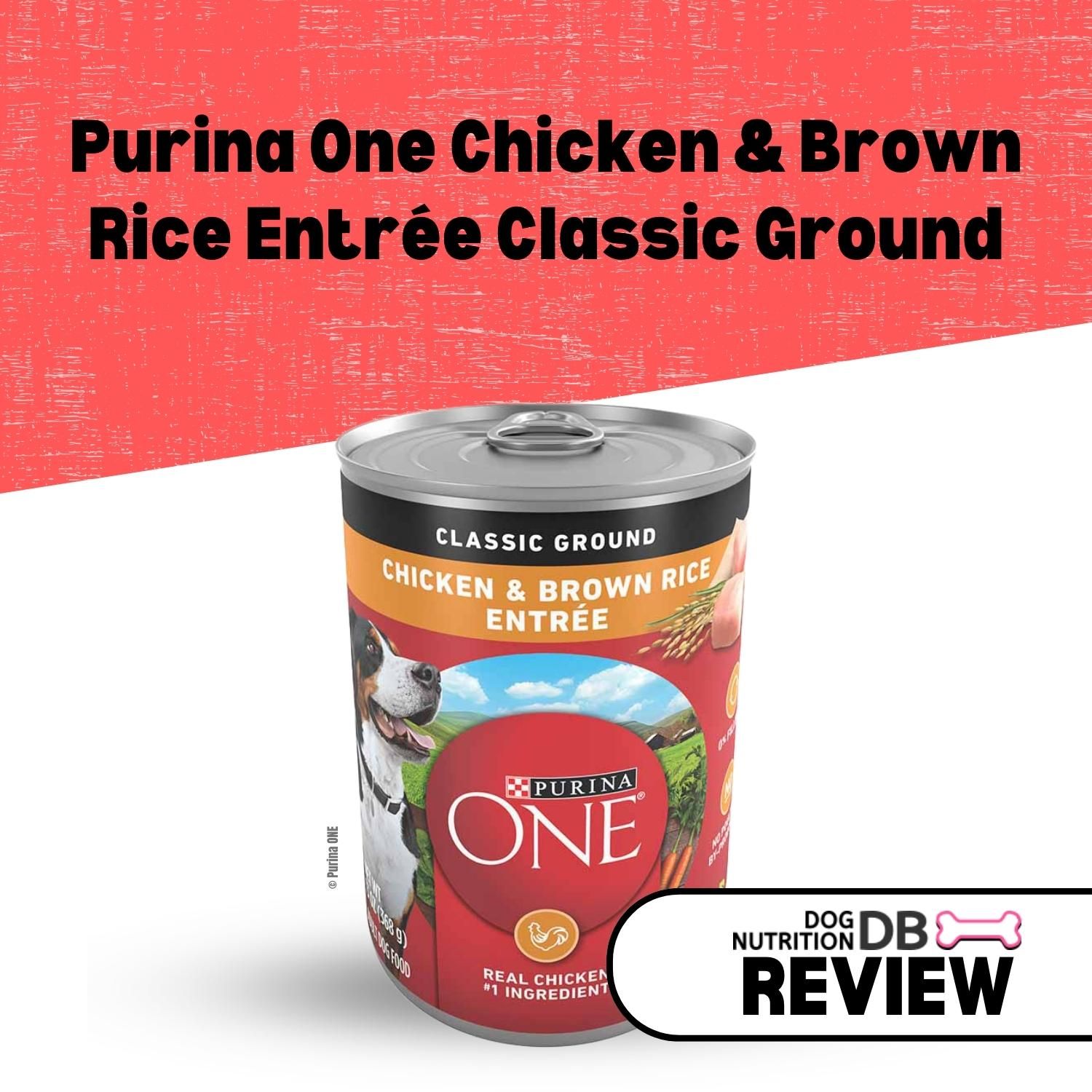 Purina One Chicken & Brown Rice Entrée Classic Ground Review Dog Nutrition DB