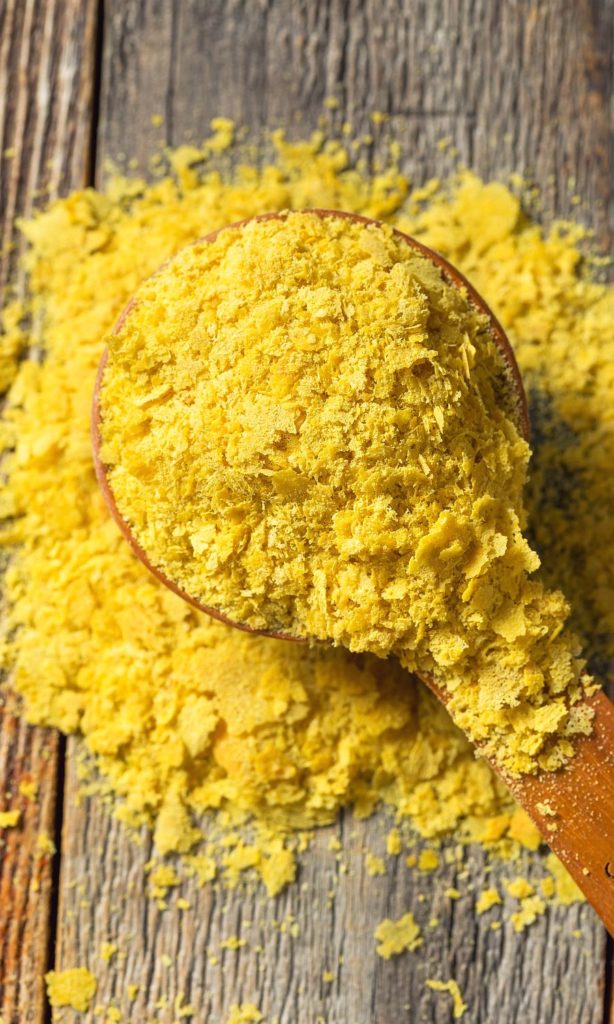 yeast in dog food nutritional yeast