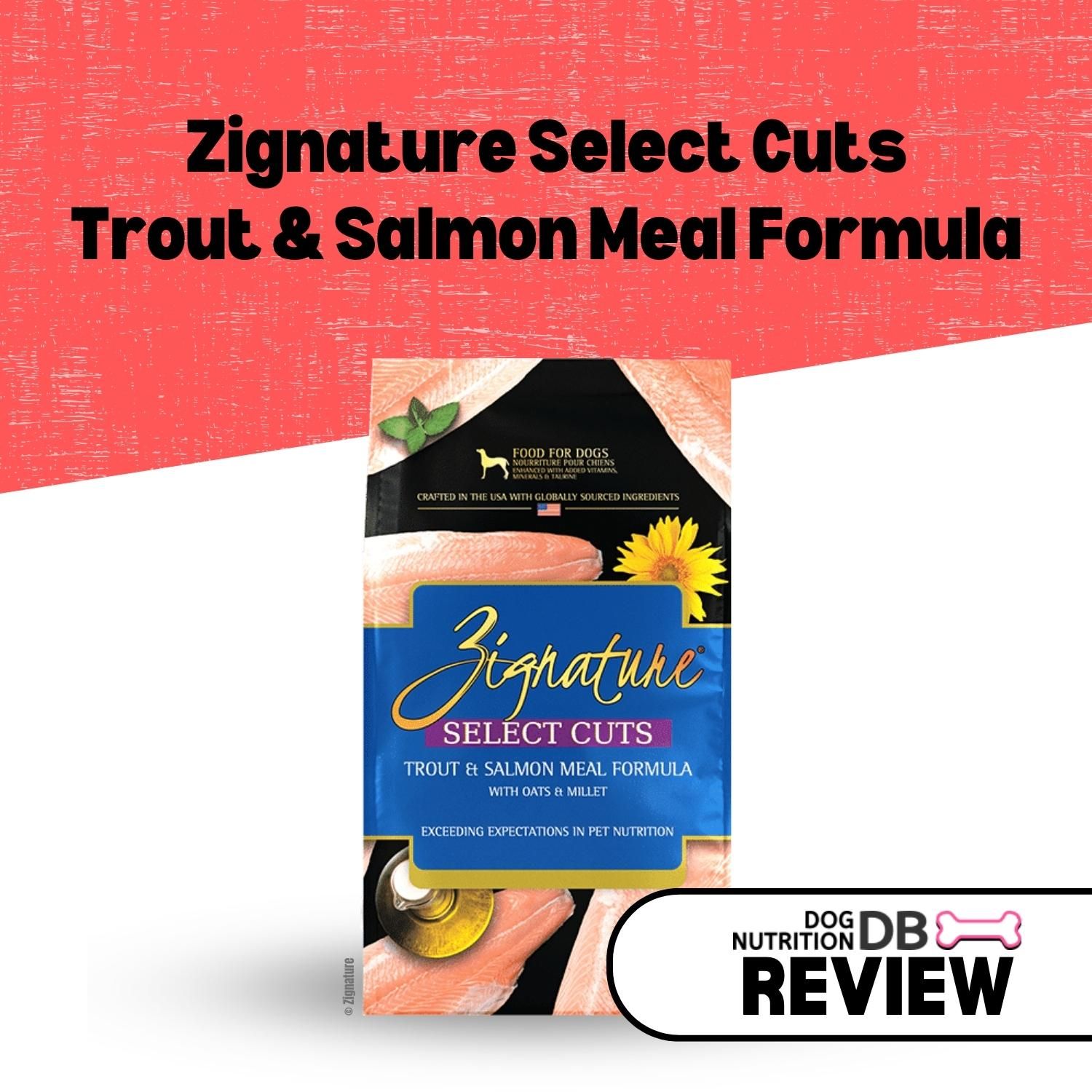 Zignature Select Cuts Trout & Salmon Meal Formula Review Dog Nutrition DB